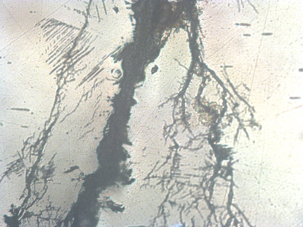 Optical micrograph of branched stress-corrosion cracking in metal
